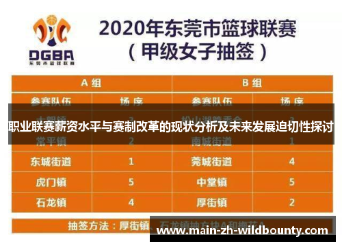 职业联赛薪资水平与赛制改革的现状分析及未来发展迫切性探讨 职业联赛薪资水平与赛制改革的现状分析及未来发展迫切性探讨