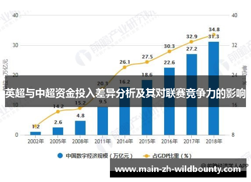 英超与中超资金投入差异分析及其对联赛竞争力的影响