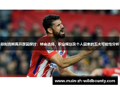 菲利克斯离开原因探讨：转会选择、职业规划及个人因素的五大可能性分析